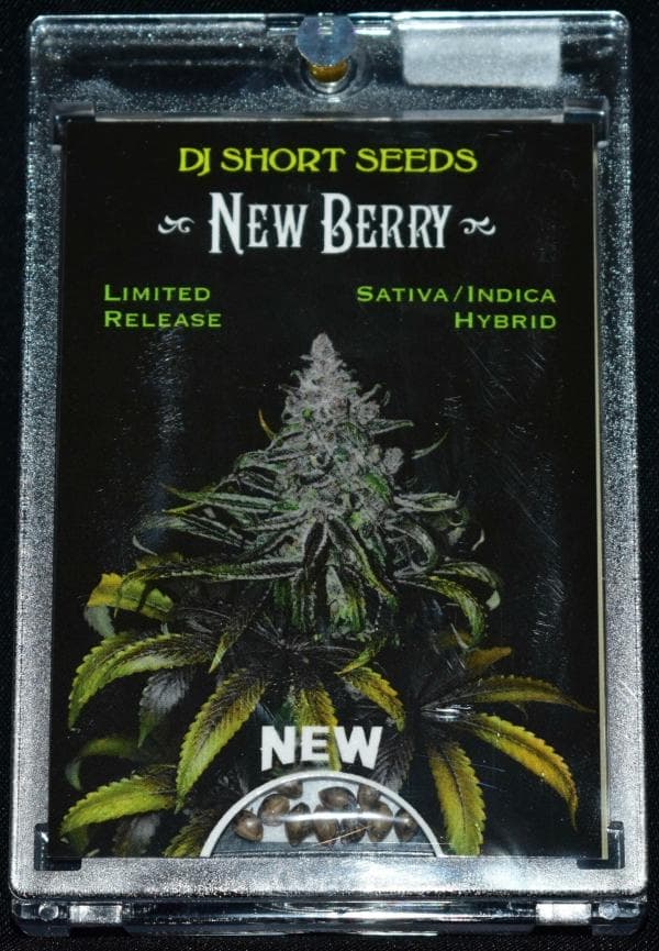 Newberry F5 11 Regular Seeds