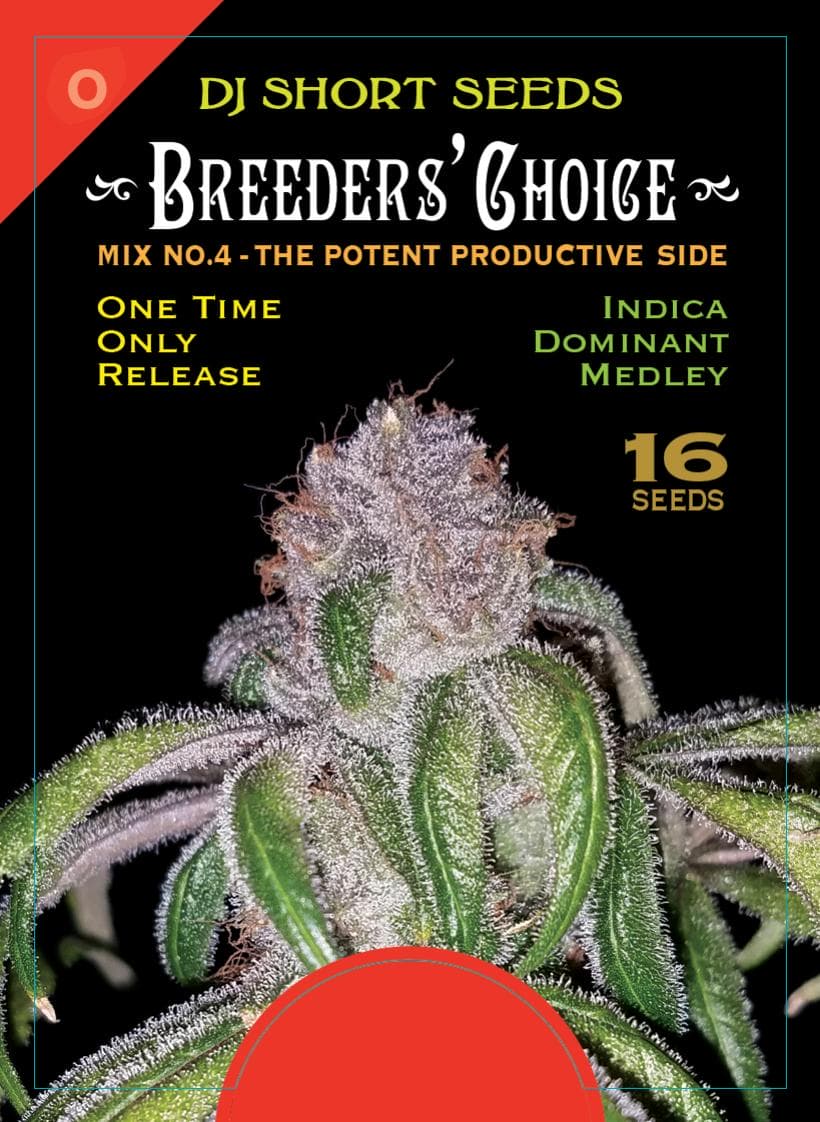 DJ Short's Breeders’ Choice Mix 4 16 Regular Seeds DCSE