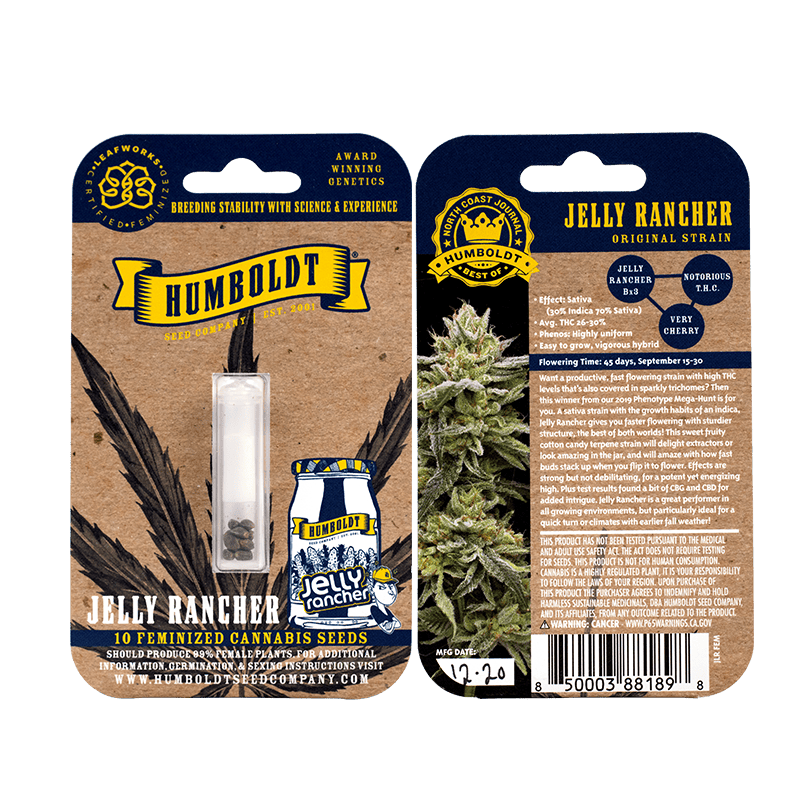 Hella Jelly Bx3 10 Feminized Seeds DCSE