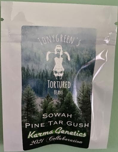 Sowah Pine Tar Gush