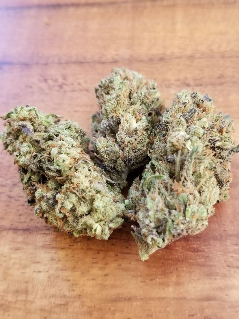 American Skunk Select Colombian (American Skunk Selection x Colombian