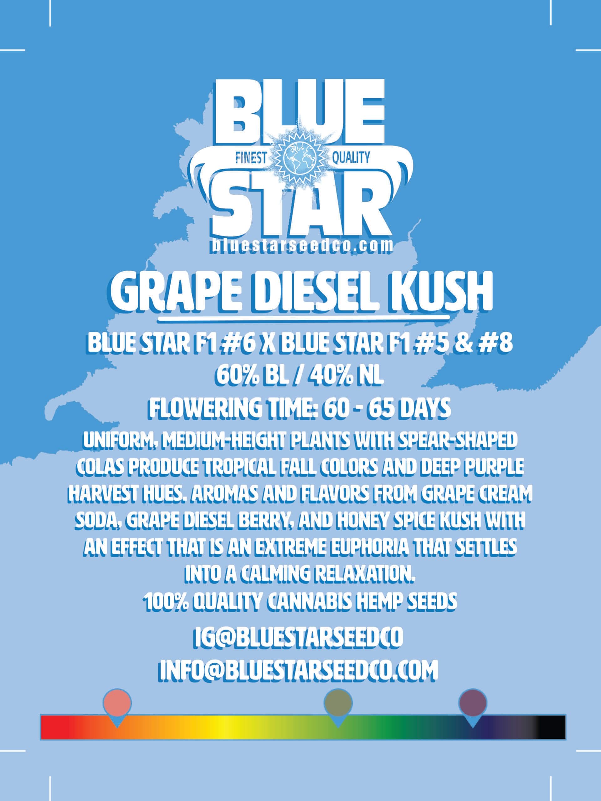 Grape Diesel Kush 10 Regular Seeds DCSE