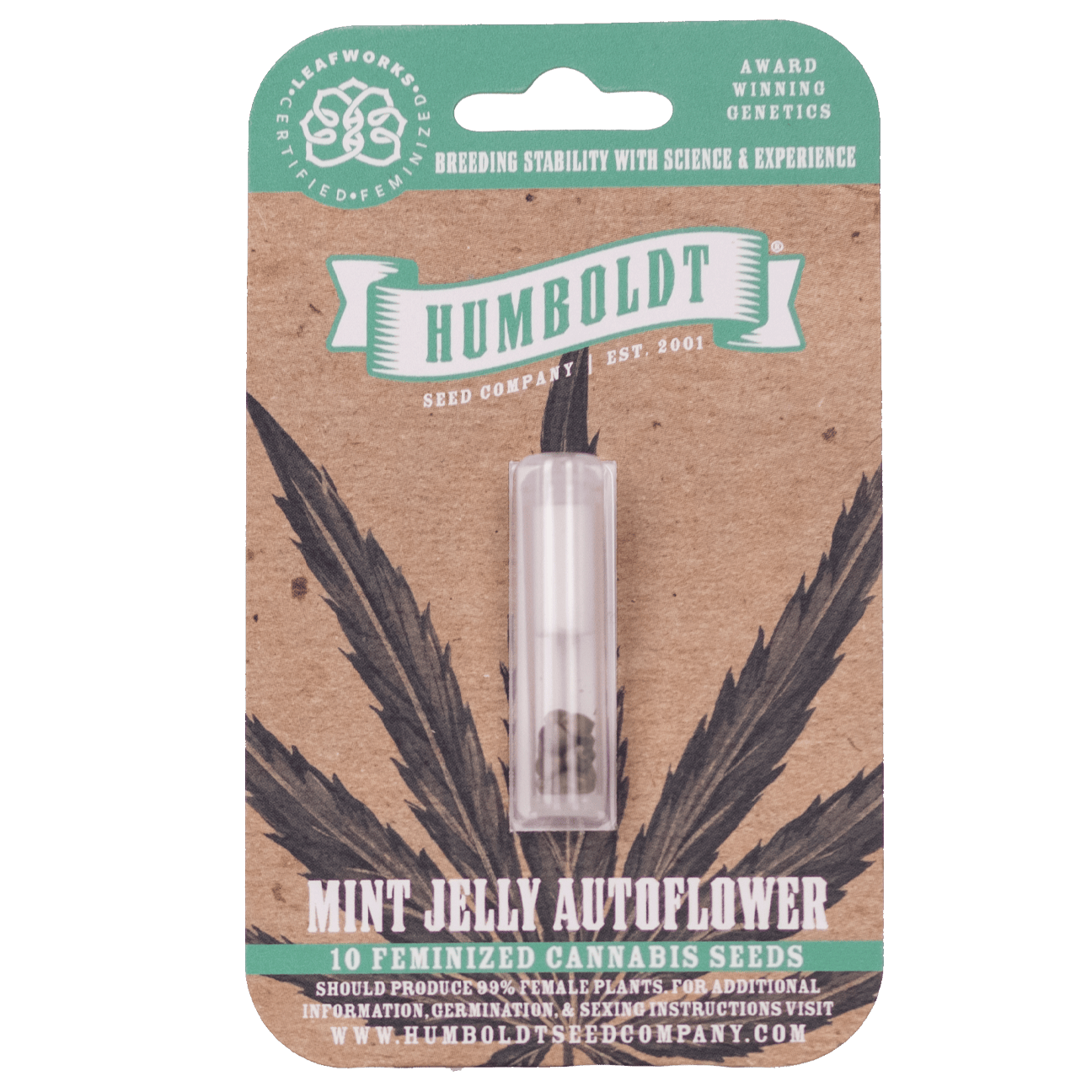 Mint Jelly Auto 10 Feminized Autoflower Seeds DCSE