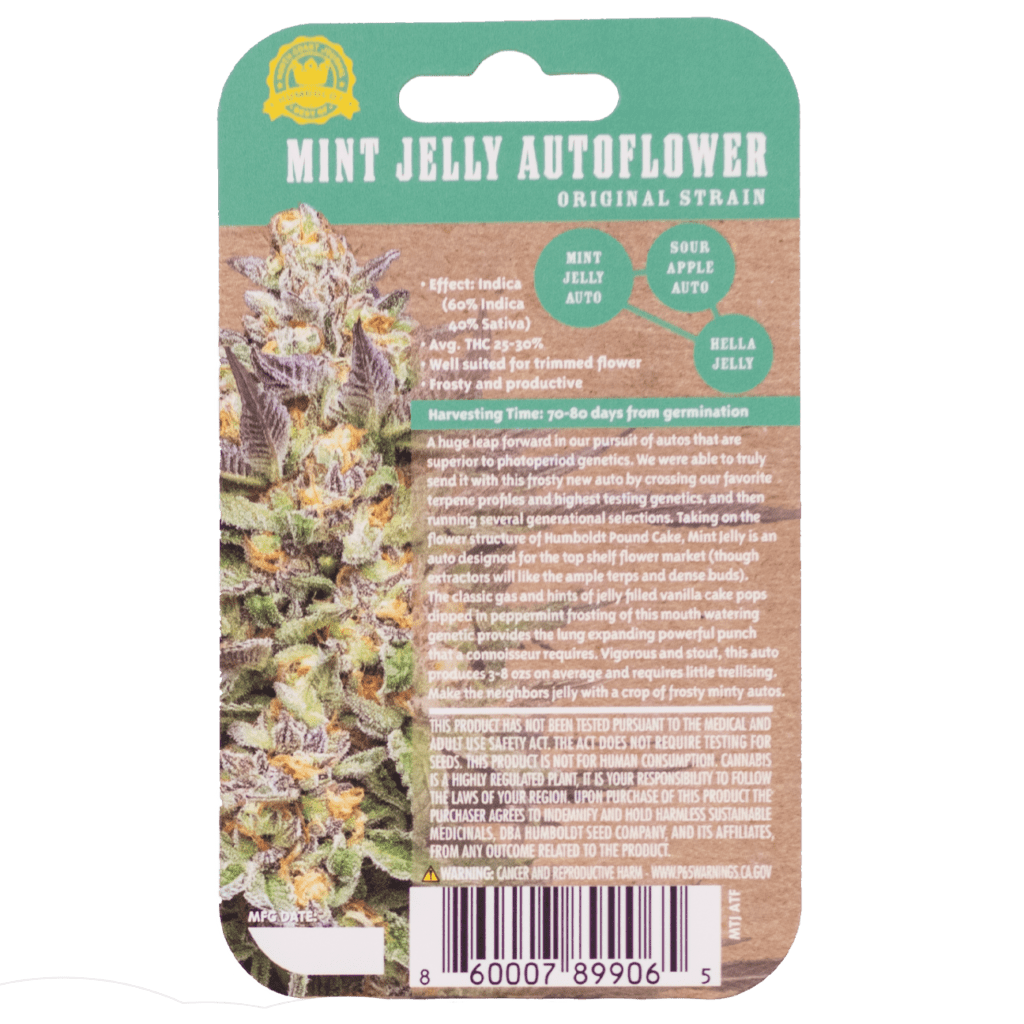 Mint Jelly Auto 10 Feminized Autoflower Seeds DCSE
